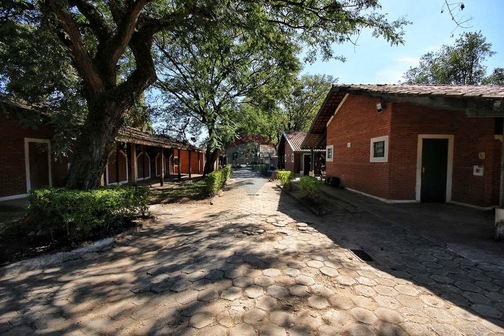 Terreno - Venda - Campinas , São Paulo - 20220527_151711000_iOS.jpg - 690681019-871