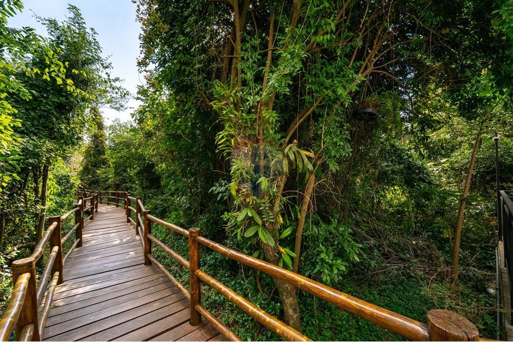 Apartamento - Venda - Jundiaí , São Paulo - DSC00735.jpg - 690361024-23