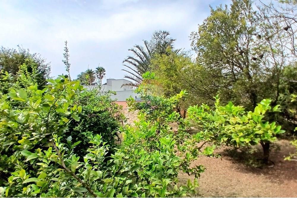 Casa - Venda - Piracicaba , São Paulo - foto34 - quintal 1.jpg - 690571002-112