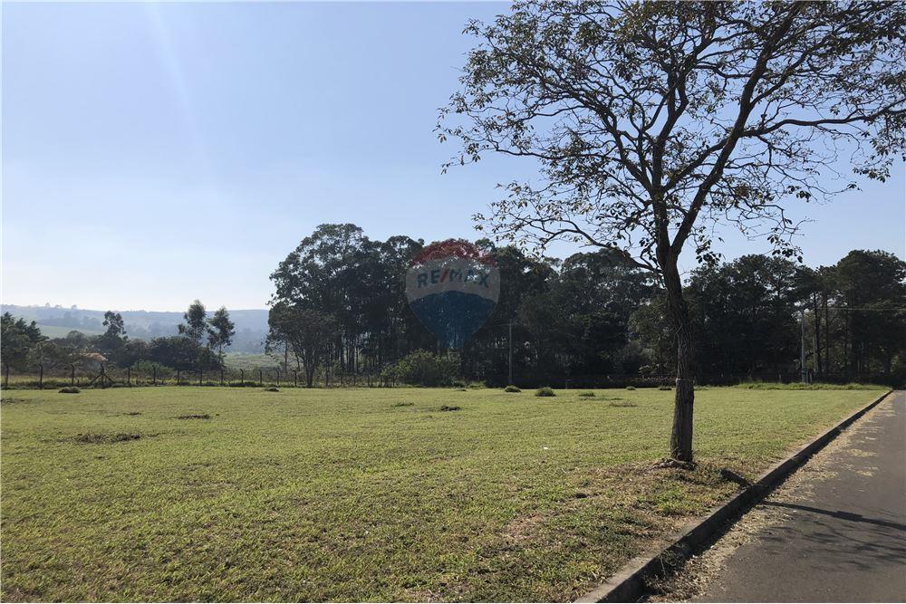 Terreno, 5000 m² - Foto 2