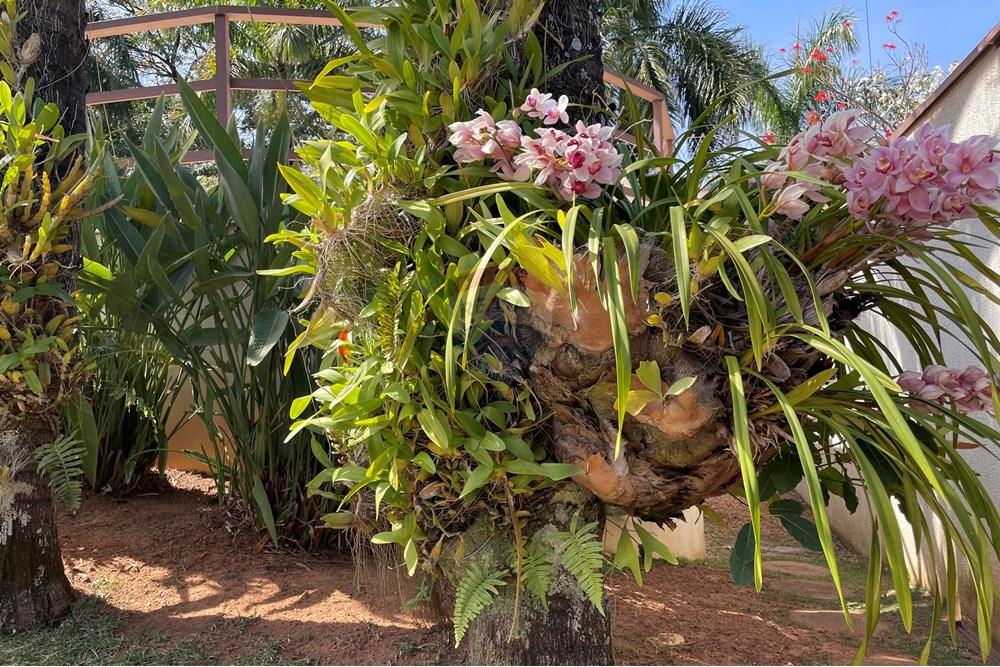 Casa de Condomínio - Alugar - Vinhedo , São Paulo - IMG_2765.JPG - 690491062-161