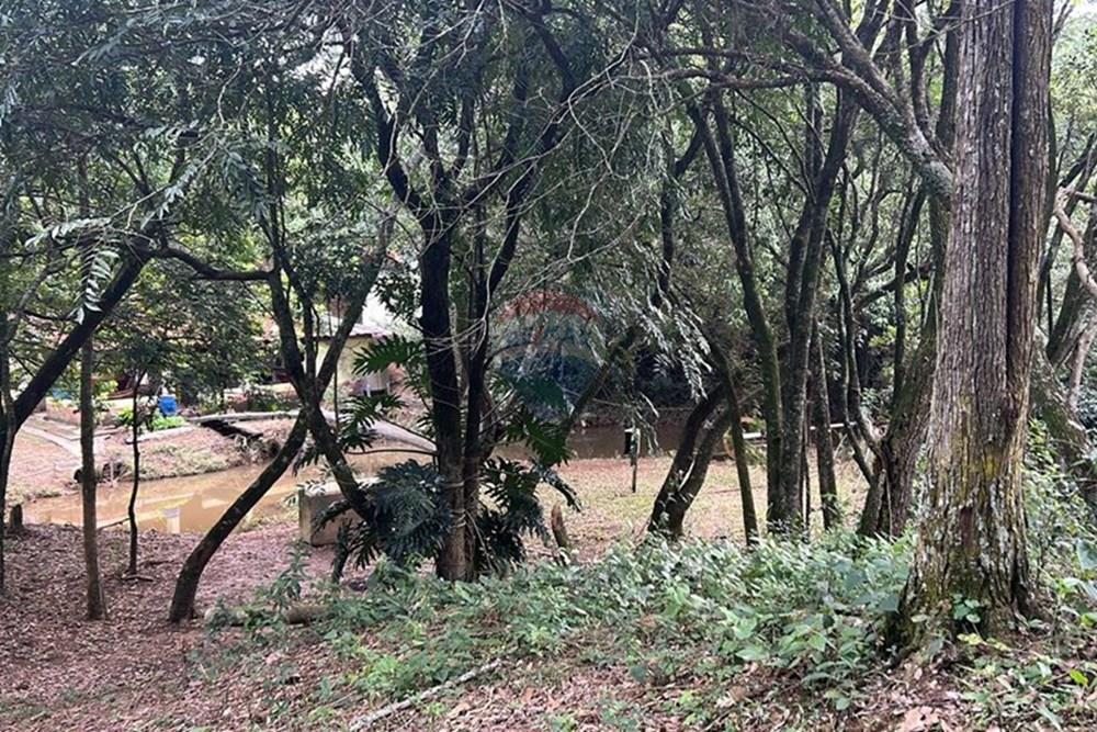 Chácara / Sítio / Fazenda - Venda - Amparo , São Paulo - WhatsApp Image 2025-06-24 at 11.21.31 (6).jpeg - 690661027-111