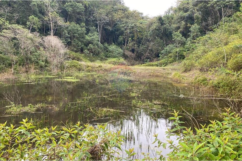 Fazenda - Venda - Sete Barras , São Paulo - WhatsApp Image 2025-08-26 at 13.13.15 (3).jpeg - 690061038-12