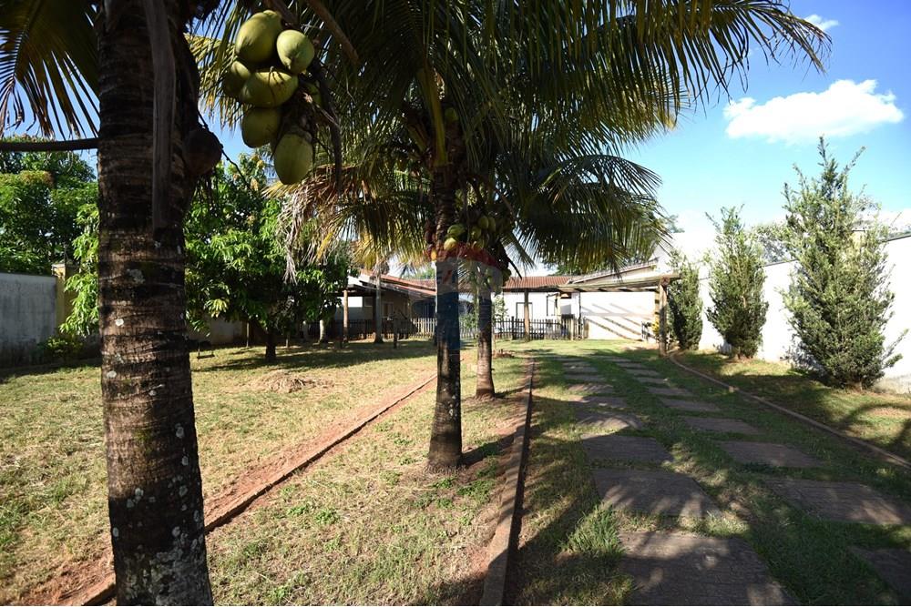 Chácara / Sítio / Fazenda - Venda - Rio Claro , São Paulo - PIP_7019.JPG - 690811054-18