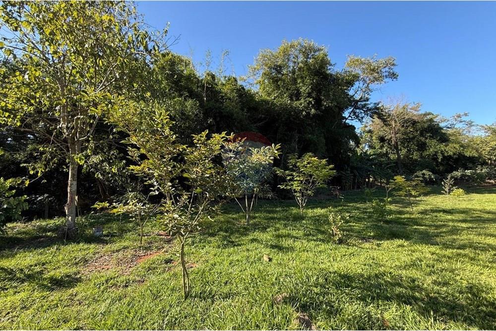 Chácara / Sítio / Fazenda - Venda - Itapira , São Paulo - WhatsApp Image 2025-06-03 at 18.53.18.jpeg - Jardim Externo - 690521014-122