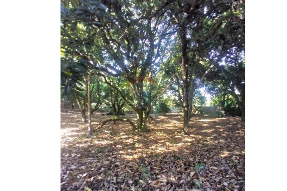 Chácara / Sítio / Fazenda - Venda - Mogi Mirim , São Paulo - Fotos Sr Mario 9.jpeg - Pátio interno - 690751061-27