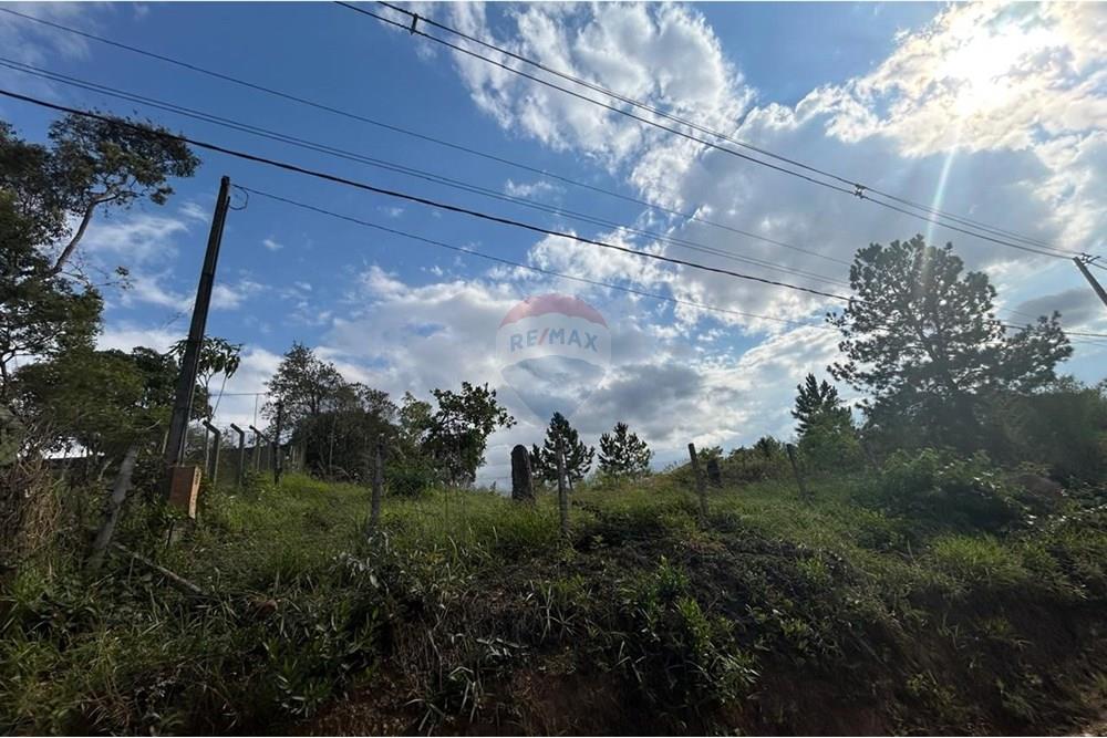 Terreno - Venda - Jarinu , São Paulo - WhatsApp Image 2025-05-30 at 21.36.29 (3).jpeg - 690661027-110