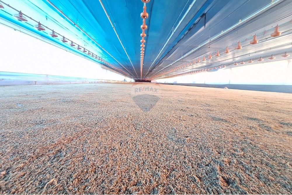 Chácara / Sítio / Fazenda - Venda - Itapira , São Paulo - 20250626_093108.jpg - 690751048-290