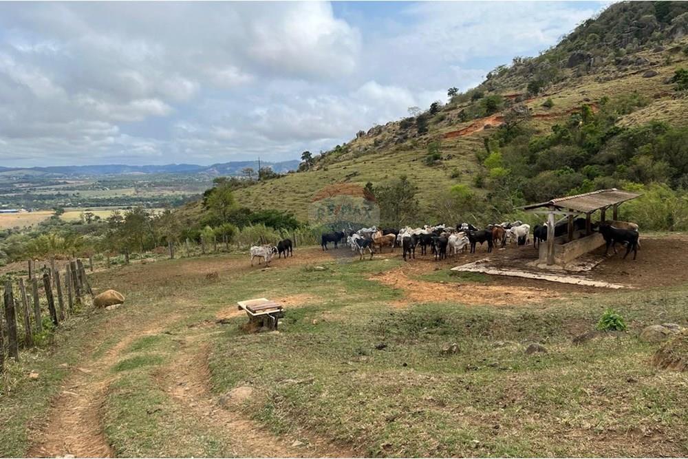 Chácara / Sítio / Fazenda - Venda - Bragança Paulista , São Paulo - GADO  (4).jpg - 690141085-32