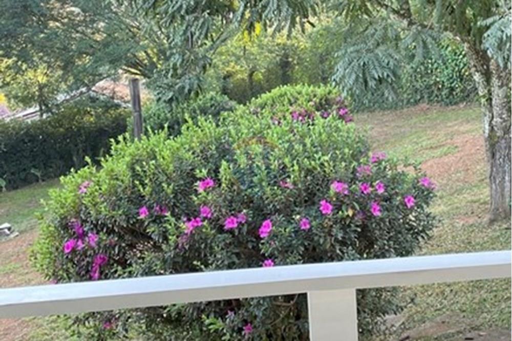 Chácara / Sítio / Fazenda - Venda - Jarinu , São Paulo - WhatsApp Image 2025-05-06 at 17.28.50 (5).jpeg - 690661027-107