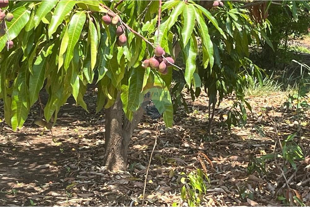 Chácara / Sítio / Fazenda - Venda - Valinhos , São Paulo - WhatsApp Image 2025-10-27 at 09.33.48 (12).jpeg - 691181004-89