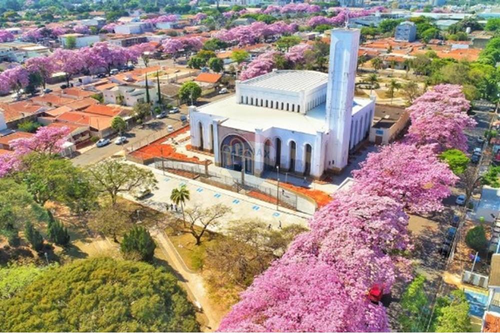 Galpão - Alugar - Paulínia , São Paulo - Captura de tela 2025-04-14 134543.jpeg - 690511042-280