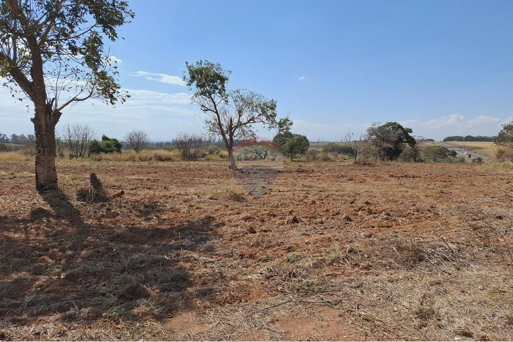 Terreno - Venda - Mogi Mirim , São Paulo - 20250808_120209.jpg - 690681090-43