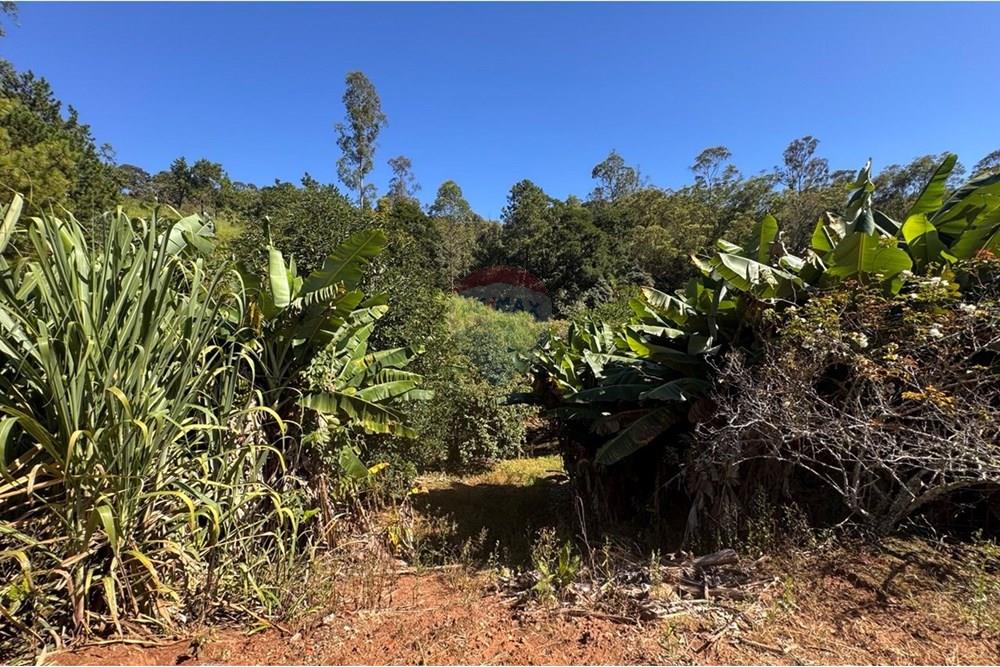 Chácara / Sítio / Fazenda - Venda - Joanópolis , São Paulo - photo_5019343269280201181_y.jpg - 690041001-120