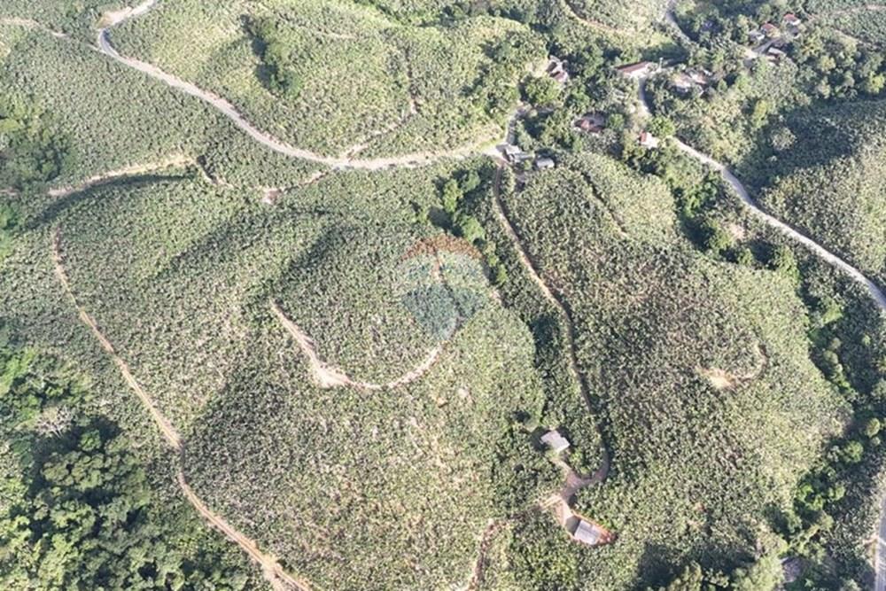 Fazenda - Venda - Miracatu , São Paulo - WhatsApp Image 2025-06-02 at 19.51.22.jpeg - 690061038-8