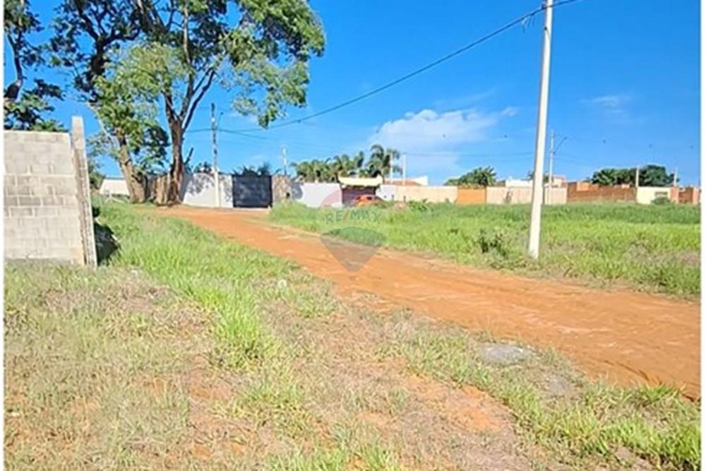 Terreno - Alugar - Mogi Mirim , São Paulo - IMG-20241209-WA0038.jpg - 690751048-95