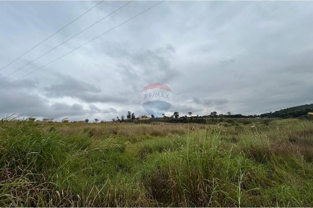 Terreno - Venda - Jarinu , São Paulo - WhatsApp Image 2025-07-04 at 18.07.14 (2).jpeg - 690661027-116