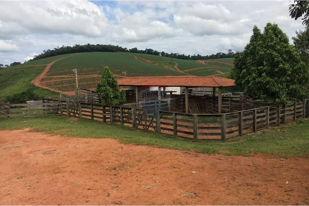 Fazenda - Venda - Socorro , São Paulo - WhatsApp Image 2025-05-14 at 13.19.37.jpeg - 690521014-114