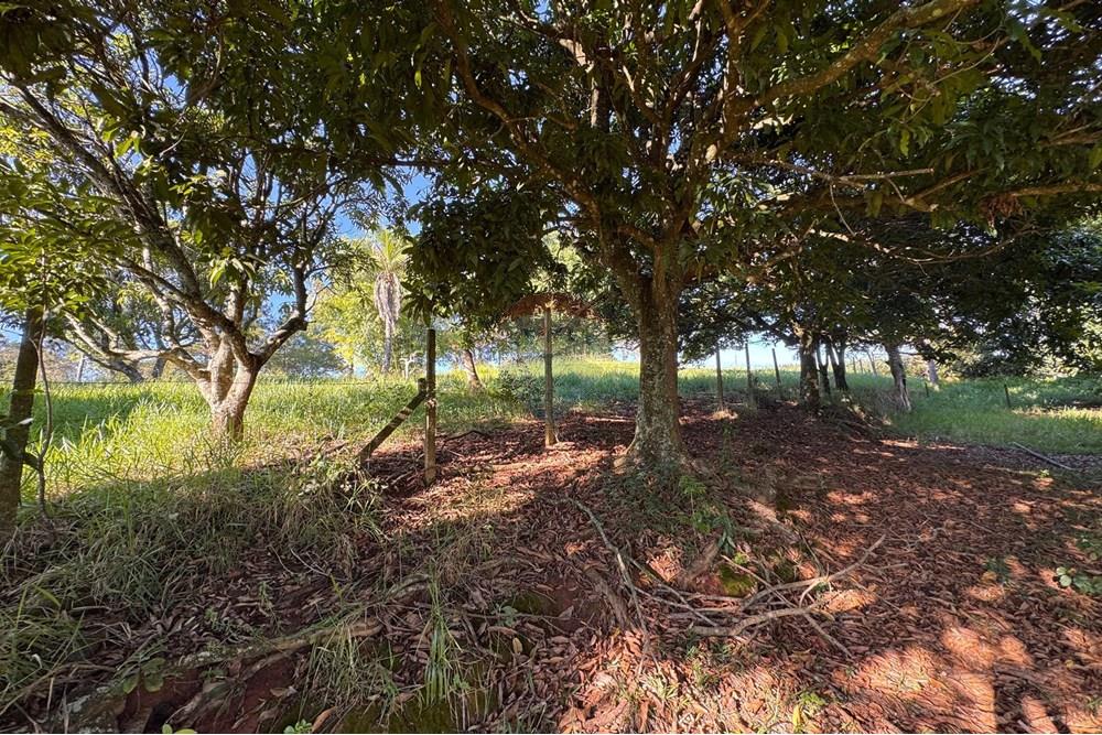 Terreno - Venda - Bragança Paulista , São Paulo - H - Foto Terreno Portal Barragem Jacareí 19.jpg - 690041052-92