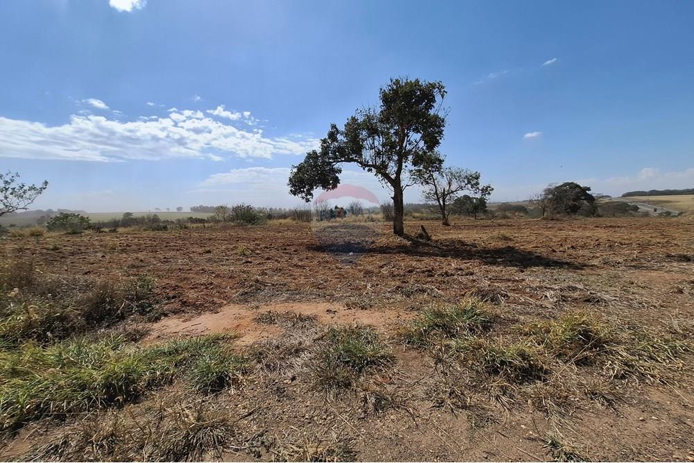 Terreno - Venda - Mogi Mirim , São Paulo - 20250808_120438.jpg - 690681090-43