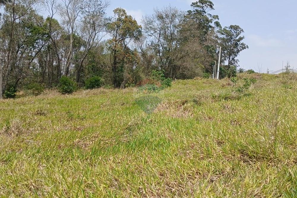 Terreno - Venda - Bragança Paulista , São Paulo - 20251007_111205.jpg - 690141085-27