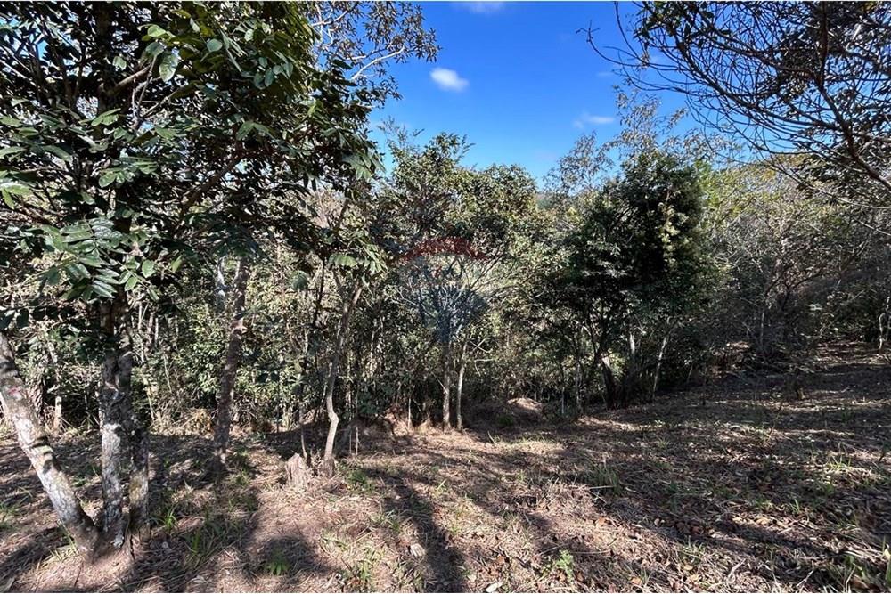 Terreno - Venda - Jarinu , São Paulo - IMG-20250819-WA0020.jpg - 690661027-137