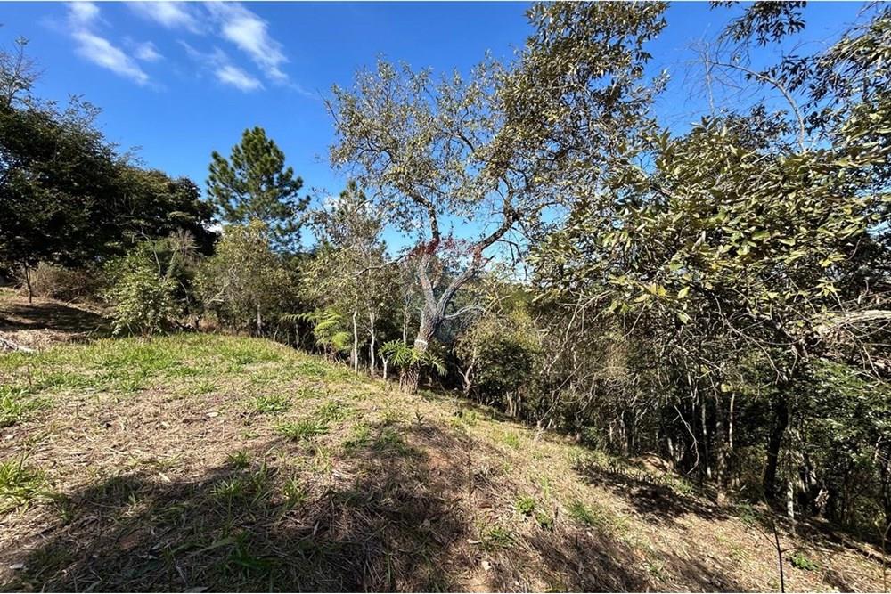 Terreno - Venda - Jarinu , São Paulo - IMG-20250819-WA0026.jpg - 690661027-137