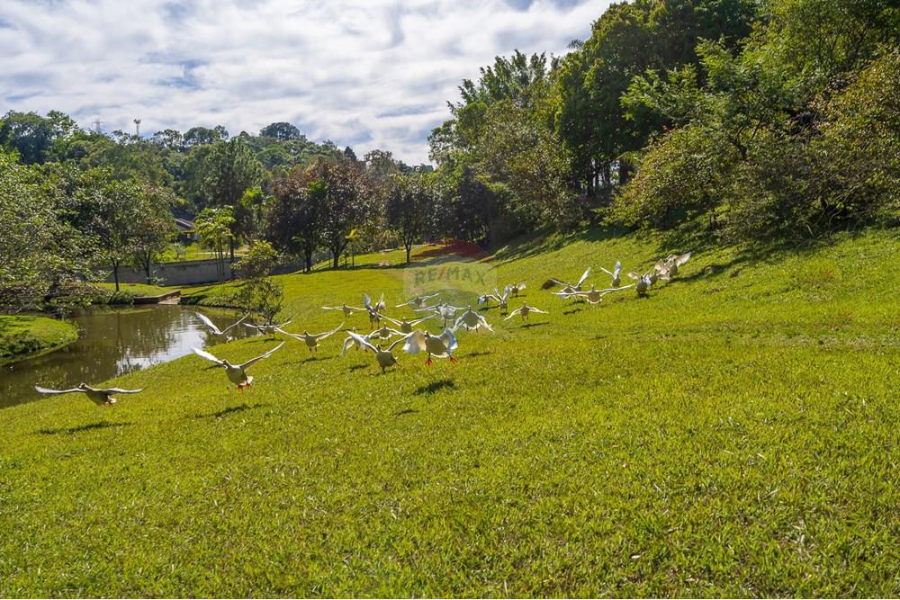Casa de Condomínio - Alugar - Vinhedo , São Paulo - EDI03887.jpg - 690941009-119