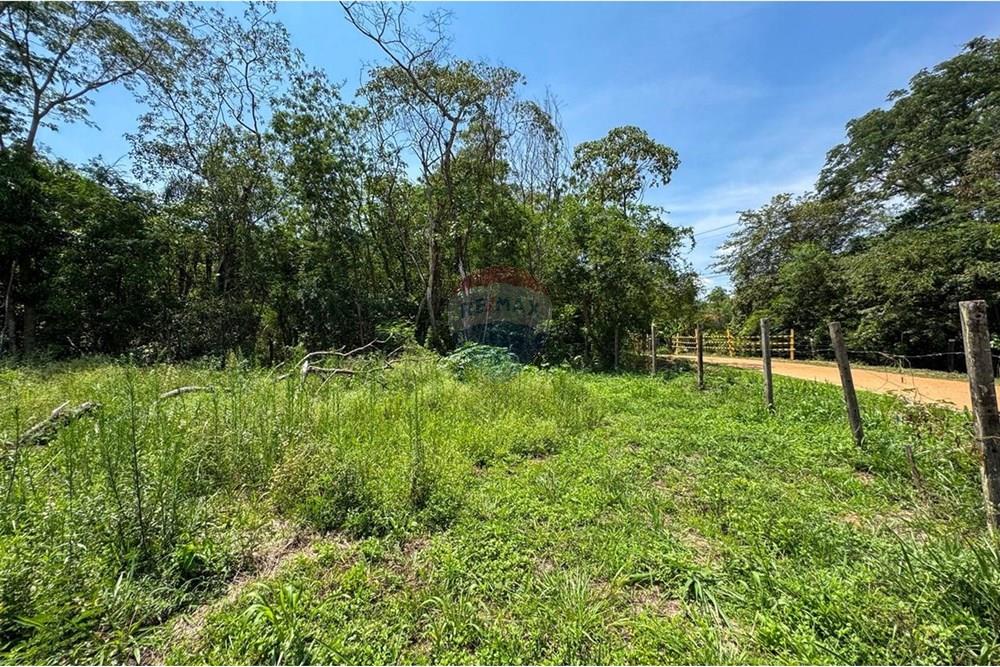 Terreno - Venda - Estiva Gerbi , São Paulo - WhatsApp Image 2025-10-18 at 11.25.57 (5).jpeg - 690521033-193