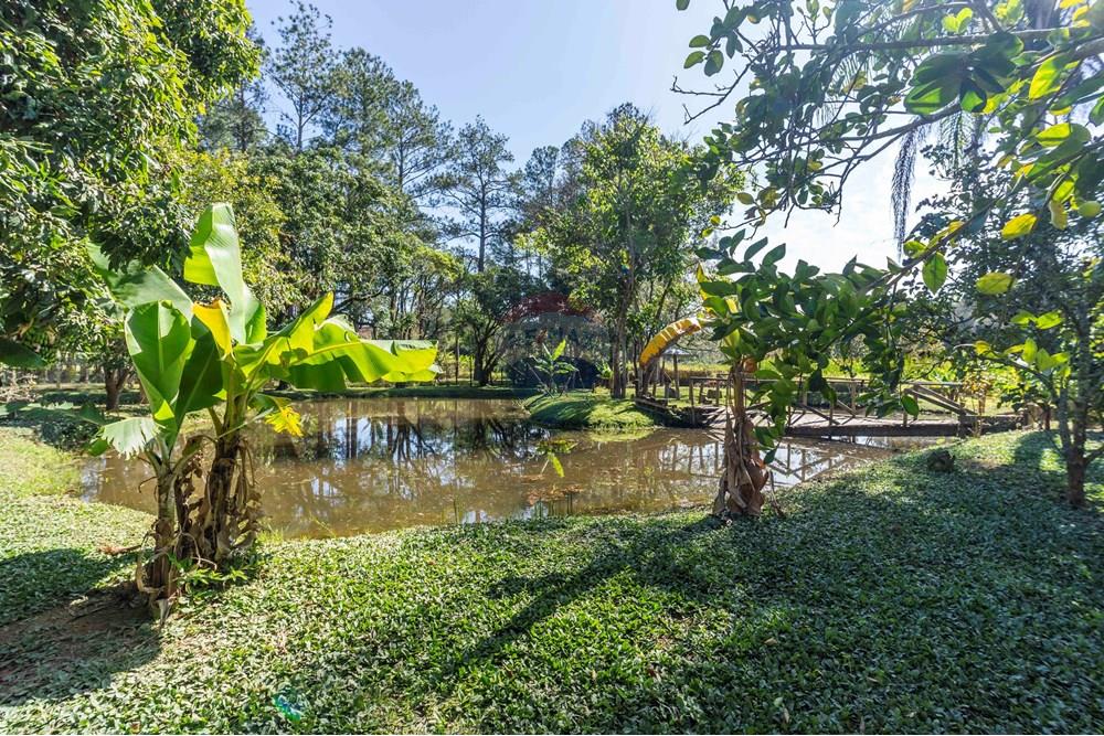 Chácara / Sítio / Fazenda - Venda - Itatiba , São Paulo - foto imobiliarias- brmaker00-352.jpg - 690661026-143