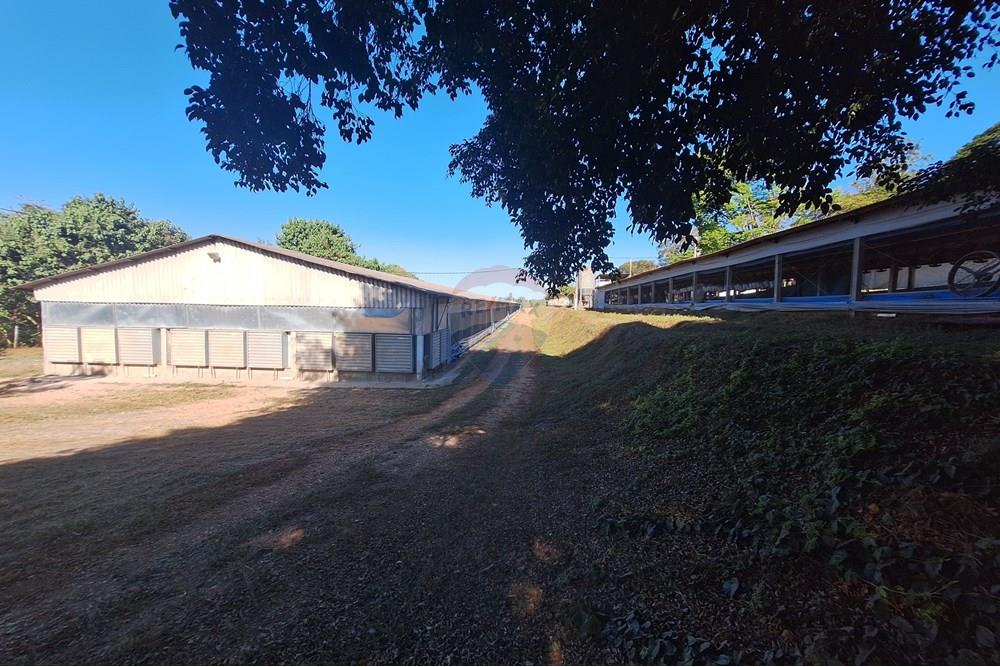 Chácara / Sítio / Fazenda - Venda - Conchal , São Paulo - 20250617_140735(1).jpg - 690751019-291