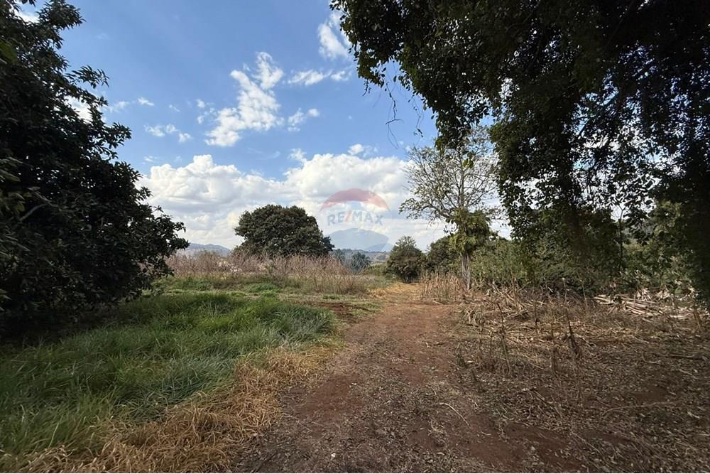 Terreno - Venda - Bragança Paulista , São Paulo - WhatsApp Image 2025-08-25 at 15.25.17.jpeg - 690041010-105