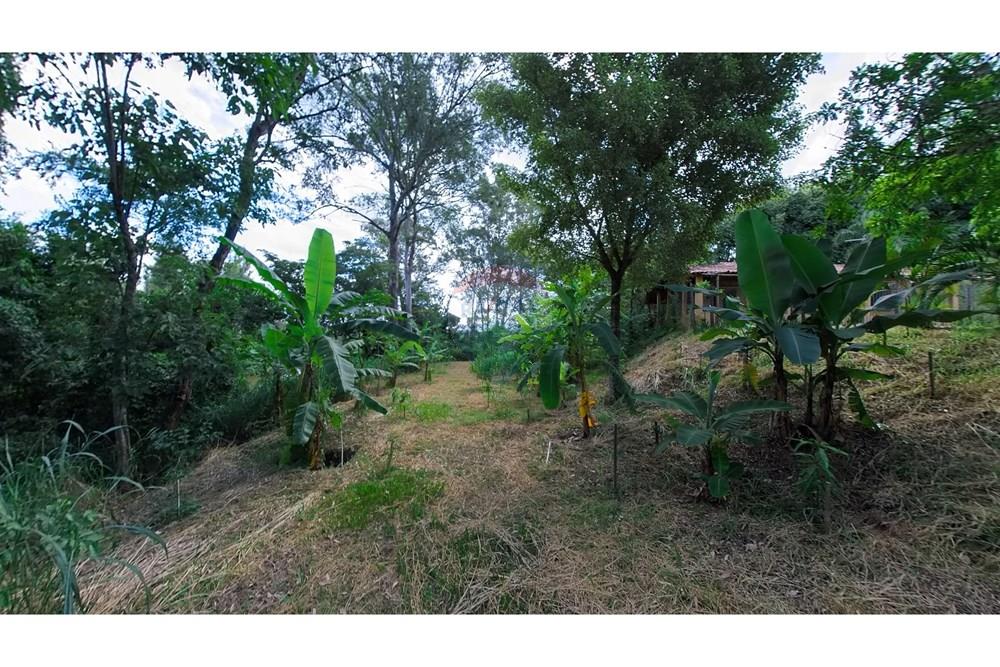 Chácara / Sítio / Fazenda - Venda - Araras , São Paulo - IMG_20250115_155415_00_366_PureShot.jpg - 690691016-236