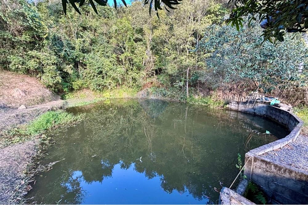 Chácara / Sítio / Fazenda - Venda - Atibaia , São Paulo - IMG_7910.jpg - 690661027-125