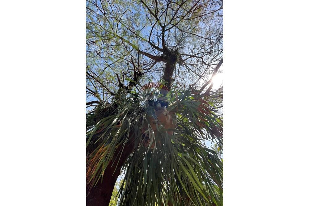 Casa de Condomínio - Alugar - Vinhedo , São Paulo - IMG_2773.JPG - 690491062-161