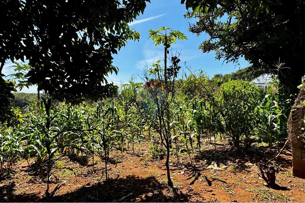 Chácara / Sítio / Fazenda - Venda - Jarinu , São Paulo - z8.jpg - 691121003-14