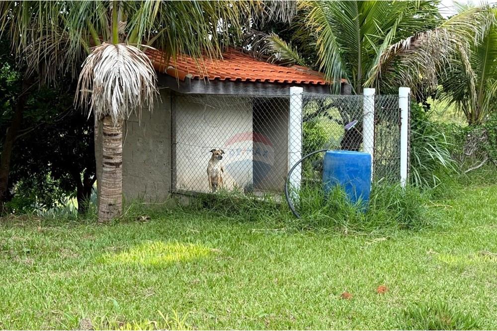 Chácara / Sítio / Fazenda - Venda - Itapira , São Paulo - WhatsApp Image 2025-04-16 at 08.26.47.jpeg - 690751048-152