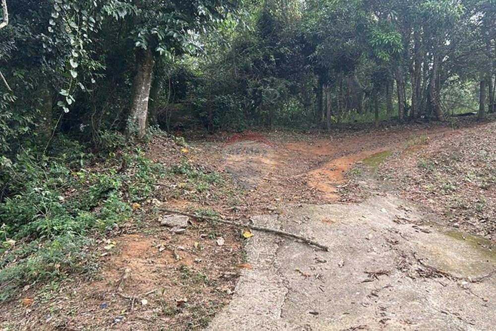 Chácara / Sítio / Fazenda - Venda - Amparo , São Paulo - WhatsApp Image 2025-06-24 at 11.21.30 (4).jpeg - 690661027-111