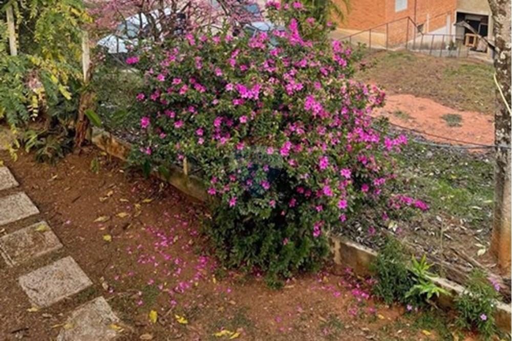 Chácara / Sítio / Fazenda - Venda - Jarinu , São Paulo - WhatsApp Image 2025-05-06 at 17.28.50 (3).jpeg - 690661027-107