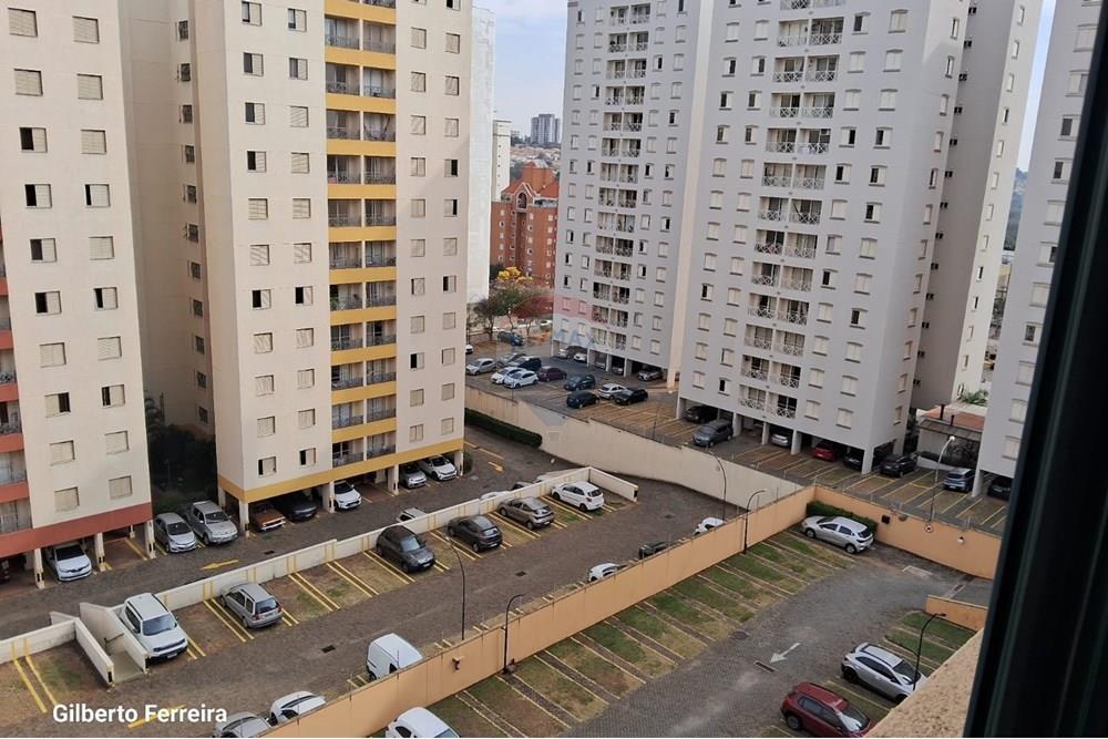 Apartamento - Alugar - Campinas , São Paulo - WhatsApp Image 2025-07-28 at 11.02.58 (1).jpeg - 690851076-156