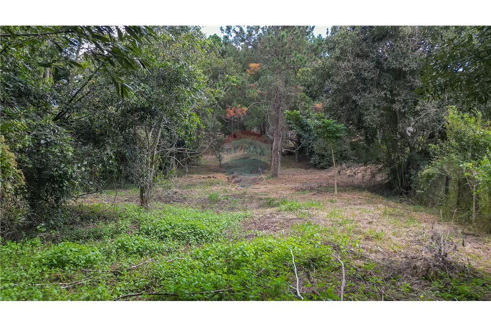 Terreno - Venda - Valinhos , São Paulo - 16 - 691091001-208