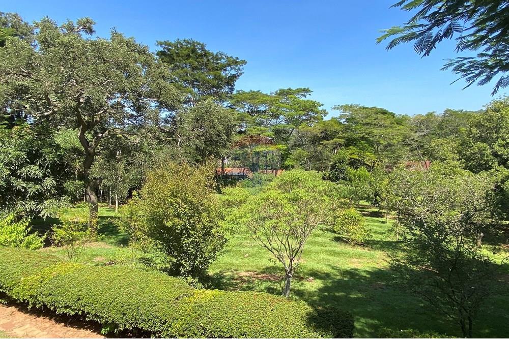 Chácara / Sítio / Fazenda - Venda - Jarinu , São Paulo - Z35.JPEG - 691121002-22