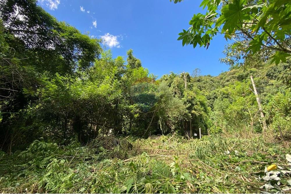 Terreno - Venda - Mairiporã , São Paulo - caeced1e-6ac7-4b5e-be8e-35f7f11a5f43.jpeg - 690041107-11