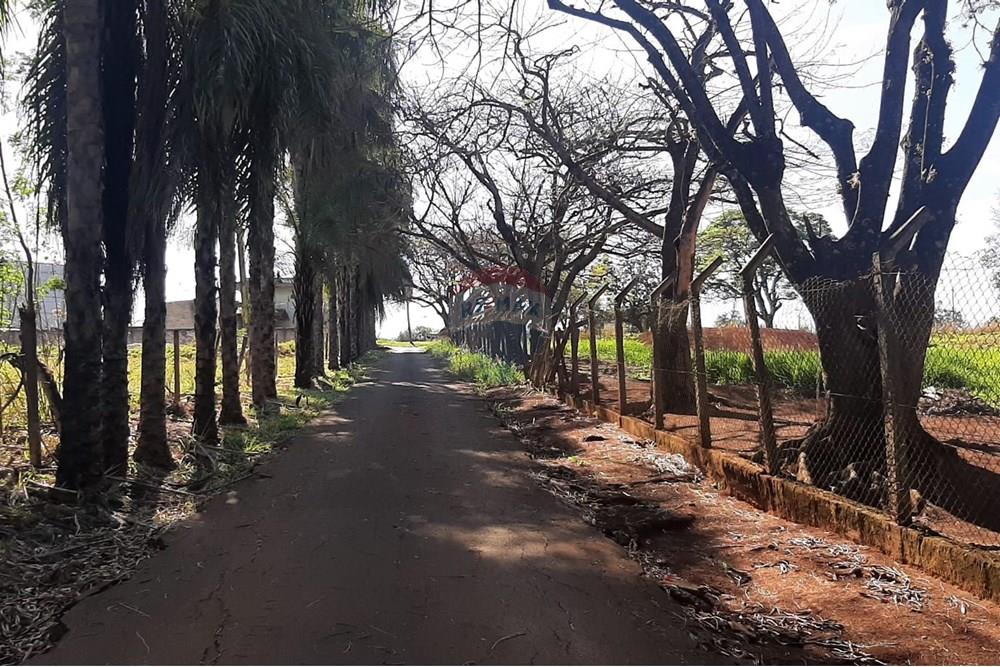 Restaurante - Alugar - Mogi Mirim , São Paulo - IMG-20250202-WA0127.jpg - 690751034-73