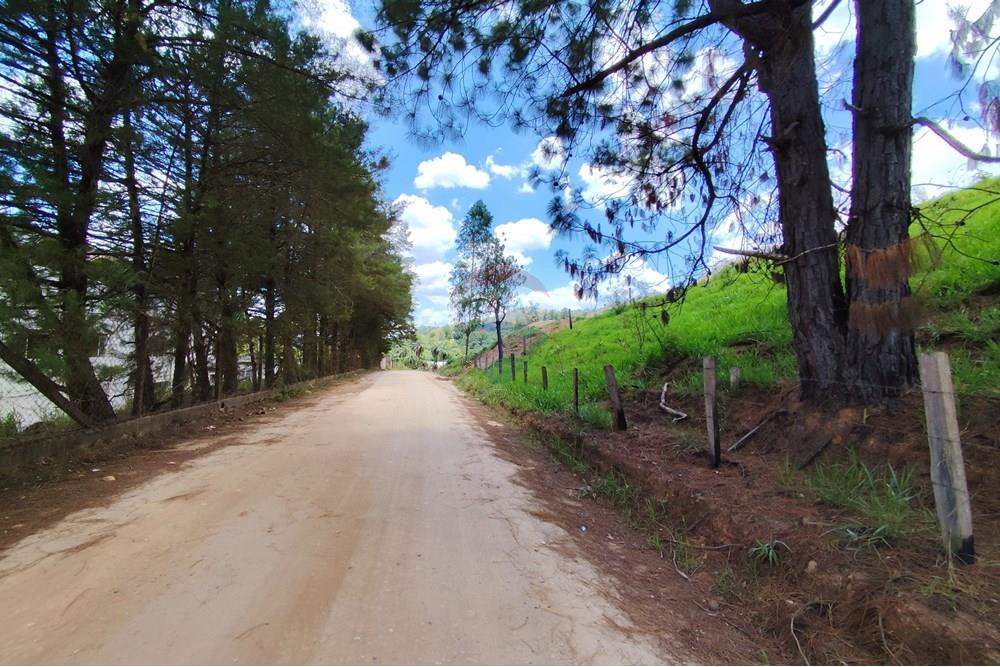 Terreno - Venda - Serra Negra , São Paulo - IMG_20241030_111039.jpg - 690291077-60