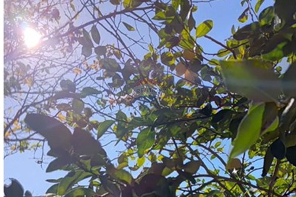 Chácara / Sítio / Fazenda - Venda - Paulínia , São Paulo - 2249da6e-21b4-471e-bf83-d5d853e30ff5.jpeg - 690511152-58