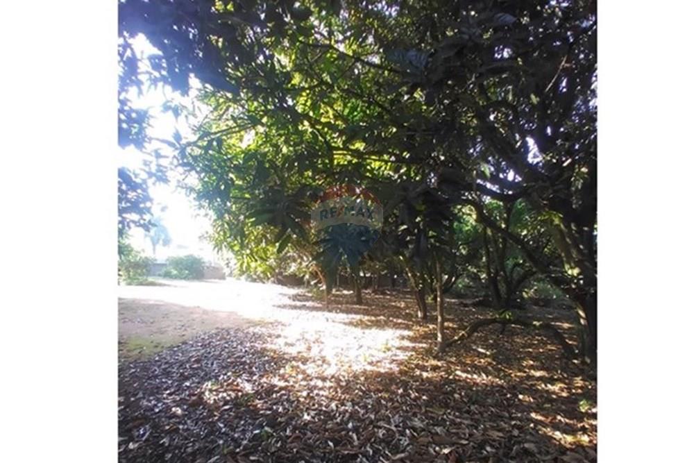 Chácara / Sítio / Fazenda - Venda - Mogi Mirim , São Paulo - Fotos sr Mario 8.jpeg - Pátio interno - 690751061-27