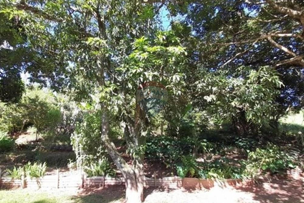 Chácara / Sítio / Fazenda - Venda - Lindóia , São Paulo - WhatsApp Image 2025-06-01 at 14.29.33 (1).jpeg - 690291077-252