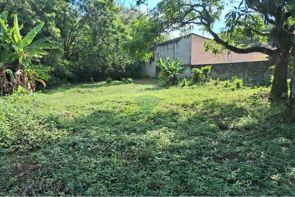 Terreno - Venda - Mogi Mirim , São Paulo - terr 20.jpeg - 690751036-49