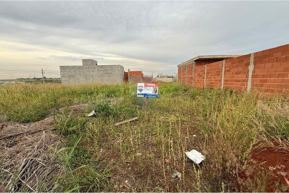 Terreno - Venda - Mogi Guaçu , São Paulo - 1111111.jpg - 690521014-160